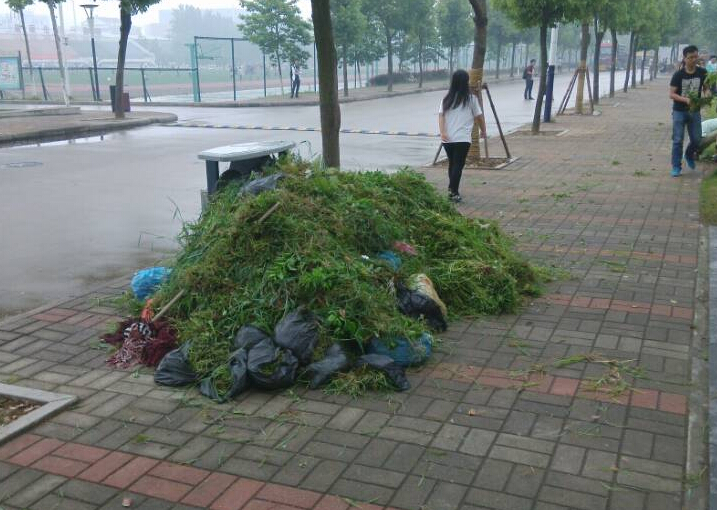 600cc全讯白菜网第十七期分党校开展服务实践活动之二——校园除草活动