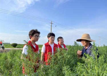 600cc全讯白菜网开展暑期“三下乡”社会实践活动