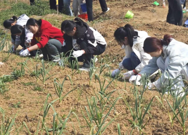 600cc全讯白菜网分党校第三十七期入党积极分子班开展劳动实践课